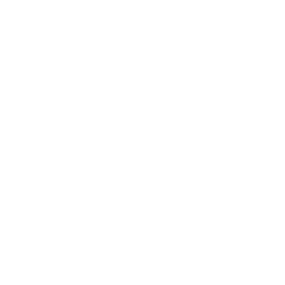 Comprehensive support Icon