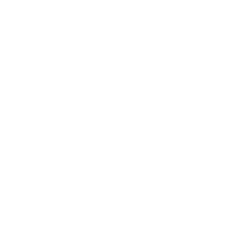 Customized AI Strategies Icon