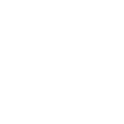 Lightning-Fast Performance Icon