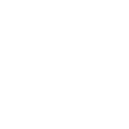 Onsite Enablement and Executive Training Icon