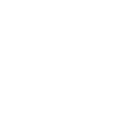 Operational excellence Icon