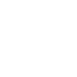 Seamless integration Icon