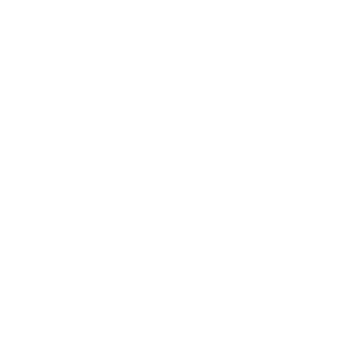 Security-First Approach Icon