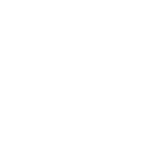 Security First Approach Icon
