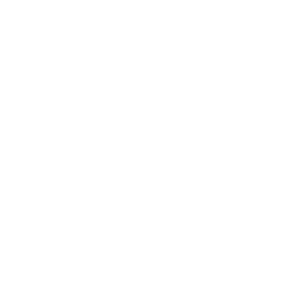 Security and Compliance Icon