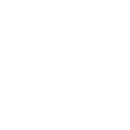 Zero Data Silos Icon