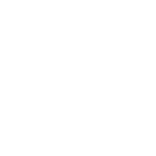 Company Identifiers Icon