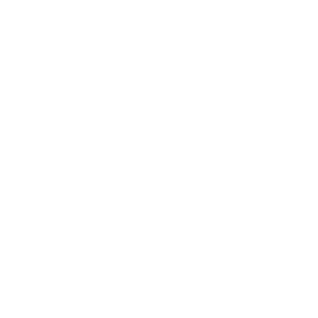 Cyber security Icon