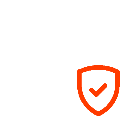 Data Protection and Privacy Consulting Icon