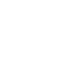 Data-driven Insights Icon