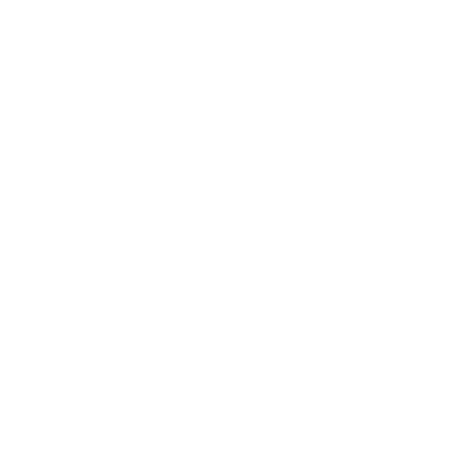 Rapid Implementation Methodology Icon